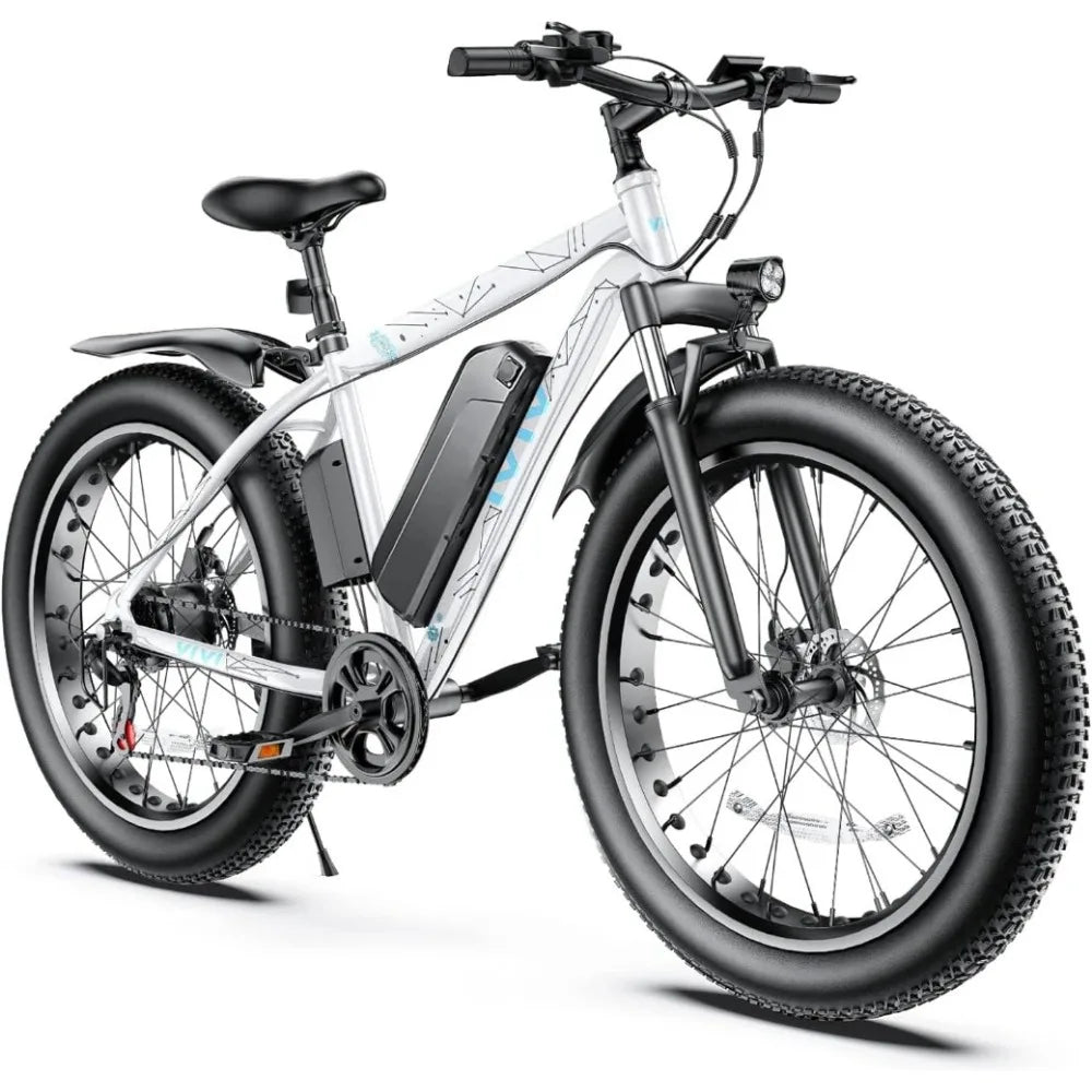 Fat Tire Electric Bicycle